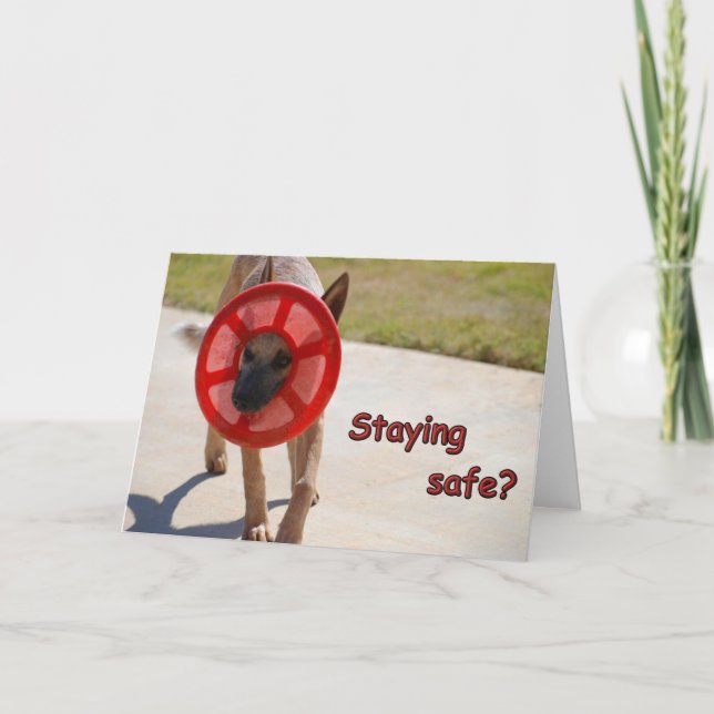 Carte de chien en détresse sociale (Devant)
