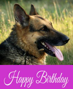 Cadeaux Joyeux Anniversaire Allemand Zazzlech