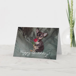 Carte de chiot de chiwawa de joyeux anniversaire