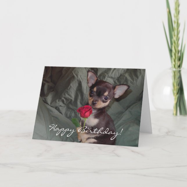 Carte de chiot de chiwawa de joyeux anniversaire (Devant)