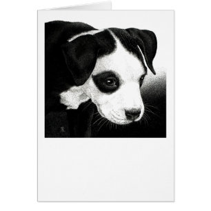 Carte de chiot de pitbull - "fille de pirate "