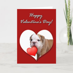 Carte de chiot du bouledogue de Valentine