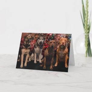 Carte de chiots de Joyeux Noël