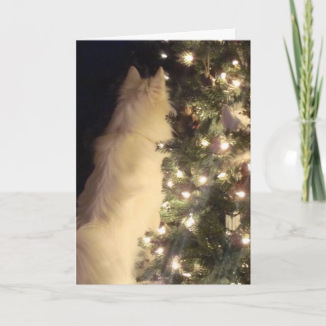 Carte de Chiristmas (Devant)