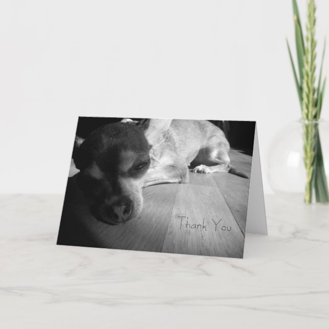 Carte de chiwawa de Merci (Devant)