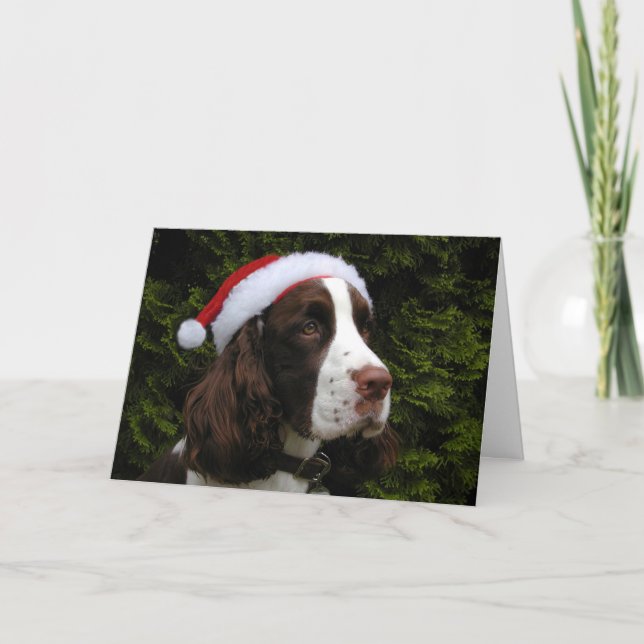 Carte de Christmas Springer (Devant)
