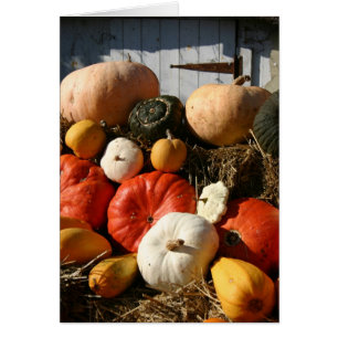 Carte de citrouilles