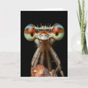 CARTE DE CLOSEUP CUTE DE DAMSELFLY