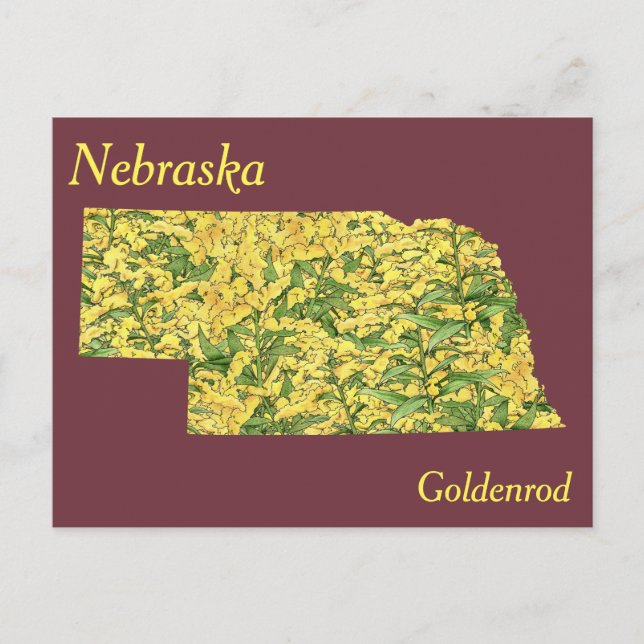 Carte de collage des fleurs de l'État du Nebraska (Devant)