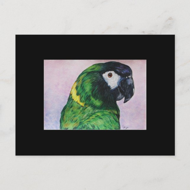 Carte de commerce d'art Macaw ACEO de couleur jaun (Devant)