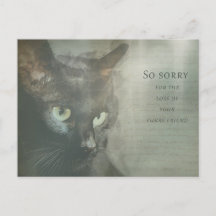 Carte de condoléances Chat - Noir - Sympathy Card
