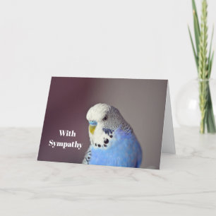 Carte de condoléances photo de perruche bleue joli