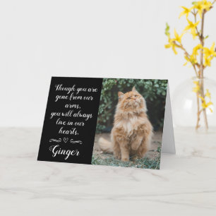 Carte de condoléances pour perte de chat personnal