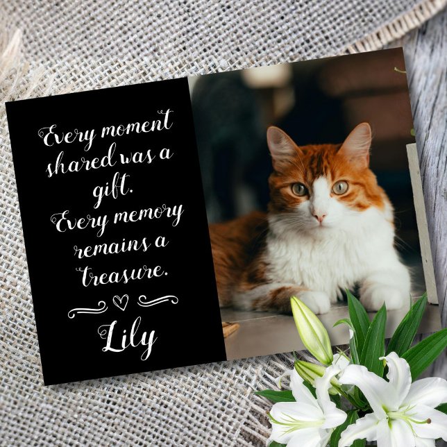 Carte de condoléances pour perte de chat personnal (Cat condolence card)