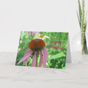 Carte de Coneflower