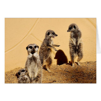 carte de conversation