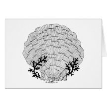 Carte de coquillage de Listakora avec l'enveloppe