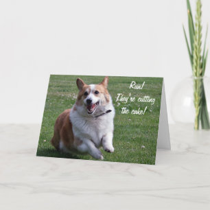 Carte de corgi