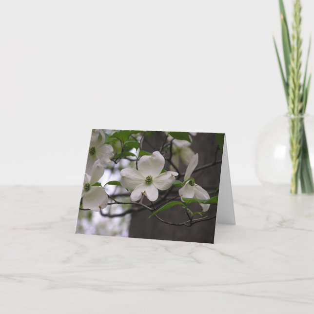 Carte de cornouiller (cornus la Floride) (Devant)