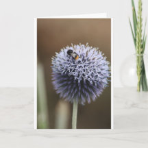 Carte de correspondance