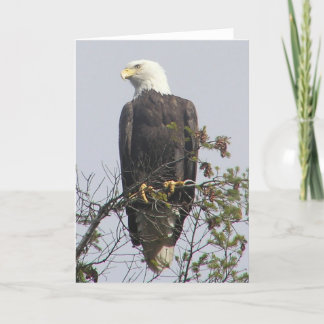 Carte de correspondance