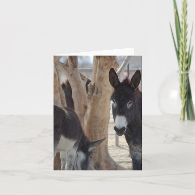 Carte de correspondance (Devant)