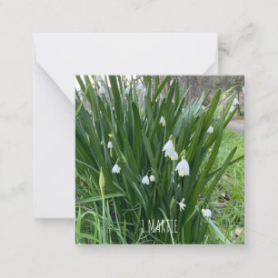 Carte De Correspondance 1Carte de note Martie