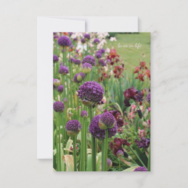 Carte De Correspondance Allium & Iris Lit Fleur (Devant)