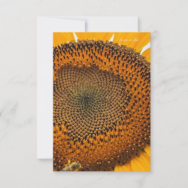 Carte De Correspondance Antennes d'abeilles et tournesol (Devant)