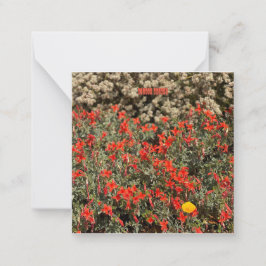 Carte De Correspondance Août