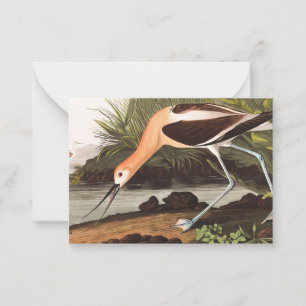 Carte De Correspondance Avocet américain par John James Audubon