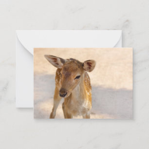 Carte De Correspondance Baby Deer