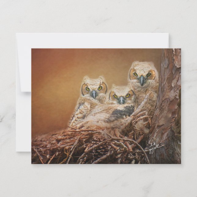 Carte De Correspondance Baby Great Horned Owls Photography (Devant)