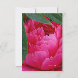 Carte De Correspondance Bashful Pink Peony