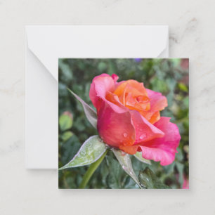 Carte De Correspondance Beauté