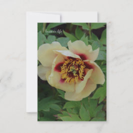 Carte De Correspondance Belle Pierre Jaune À La Crème