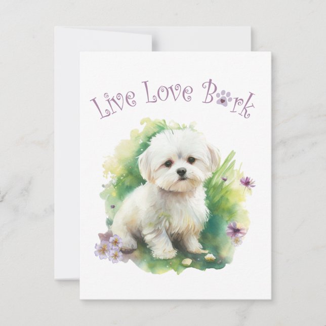 Carte De Correspondance Bichon Chien Maman Floral (Devant)