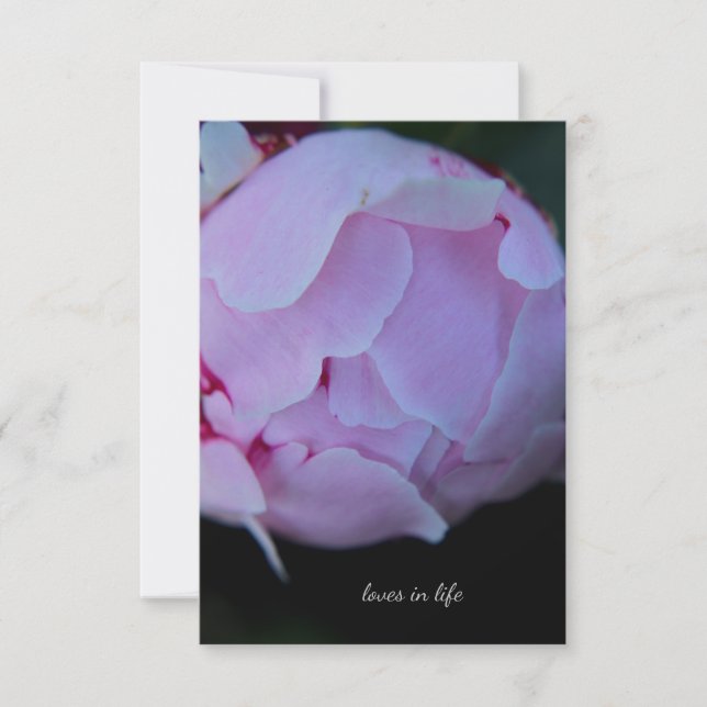 Carte De Correspondance Big Pink Peony Bud (Devant)