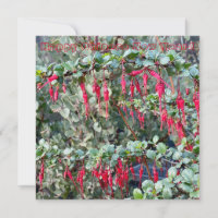 Bonne année chinoise !