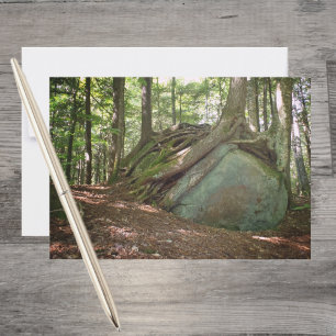Carte De Correspondance Boulder et racines – Photo de la résilience de la