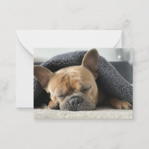 Carte De Correspondance bouledogue français sous la couverture
