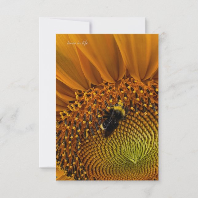 Carte De Correspondance Bumble Bee & Sunflower (Devant)