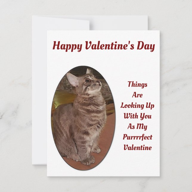 Carte De Correspondance Cat Recherche D'Image Numérique Citation Valentine (Devant)