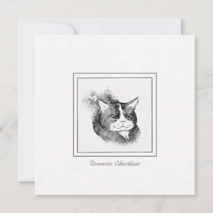 Carte De Correspondance Chalet de chat à courte distance domestique et cro