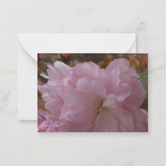Carte De Correspondance Cherry Blossom Sympathy Card (Devant)