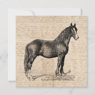 Carte De Correspondance Cheval avec papier de script
