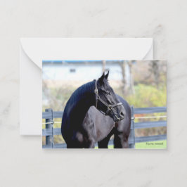 Carte De Correspondance Cheval En Pâturage