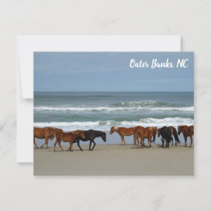 Carte De Correspondance Chevaux sauvages Banques extérieures OBX Corolla N
