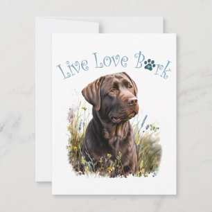 Carte De Correspondance Chocolat Lab Chien Maman Florale