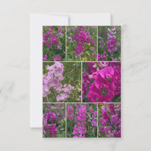 Carte De Correspondance Collage de pois rose sauvage